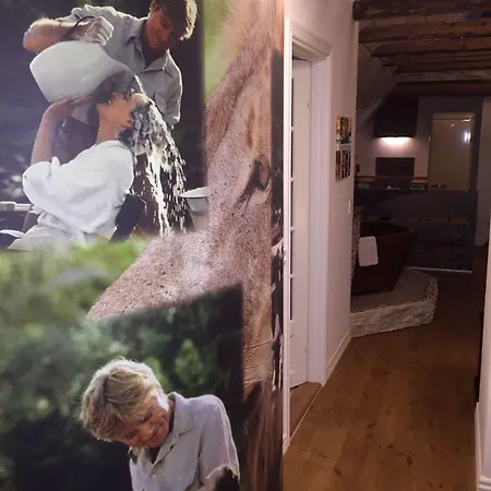 Boutique Postgården Hotel 4*